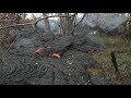 Raw: Lava Covers Headstones in Hawaii Cemetery
