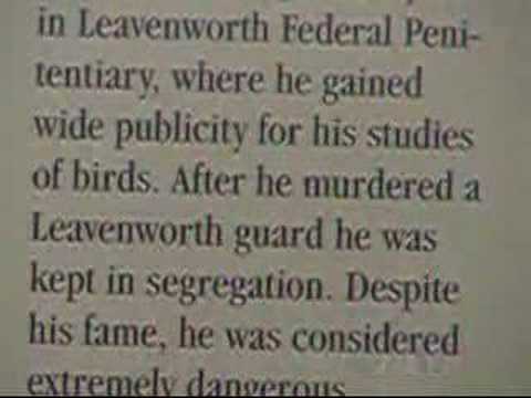 Birdman of Alcatraz Hospital Birdman of Alcatraz Hospital