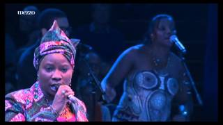 Tribute to Cesaria Evora