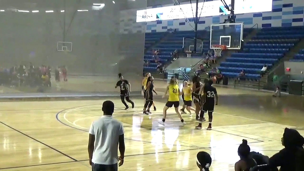 Wolverine Basketball Academy