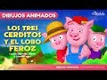 Los Tres Cerditos y El Lobo Feroz - cuentos infantiles en Español