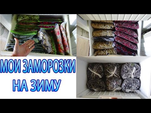 ЗАМОРОЗКИ НА ЗИМУ/ОВОЩИ/ЗЕЛЕНЬ/ЯГОДЫ/ЧТО В МОЕЙ МОРОЗИЛКЕ? ЗАМОРОЗКИ НА ЗИМУ/ОВОЩИ/ЗЕЛЕНЬ/ЯГОДЫ/ЧТО В МОЕЙ МОРОЗИЛКЕ?