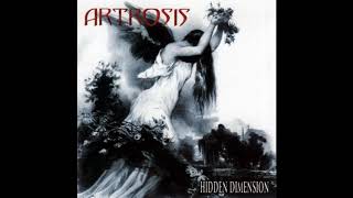 Watch Artrosis Hidden Dimension video