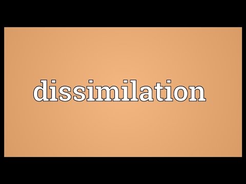 Header of dissimilation