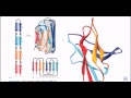 Protein motifs and domains | secondary structure of proteins