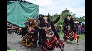 Seni Jaranan Buto Turonggo Mulyo Campursari Yosomulyo Banyuwangi 2018