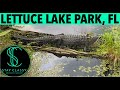 Lettuce Lake Park | Tampa, FL | Wildlife | Alligators