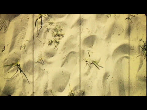 Feeling Lucky Video