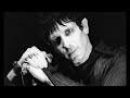 Mercury Rev - (1991) - Chasing a Bee