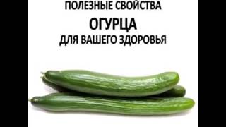Полезные свойства огурцов для беременных 1104 Полезные свойства огурцов для беременных 459