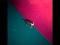 This Is The Dub Video preview