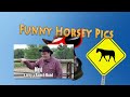 Funny Horsey Pics: Toot #1 - Horsipede