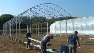 hydroponic lettuce atlanta