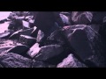 Sleepwalking (alt.)