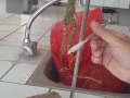 فيزيولوجيا عصبية - الجلسة السادسة - تجربة المنعكسات الدفاعية
