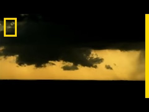 Struck by Lightning