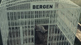 BERGEN - “Kulaklarımızda hala yankılanan sesini sesimize katıyor, aramızdan alın