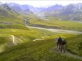 Watch Denali National Park in Alaska (June 2010) Video