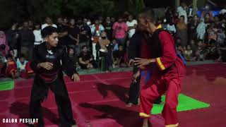 Dijuluki Saitama..tapak Suci Vs Psht