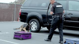 A Gift for Our K-9s