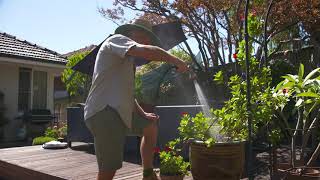 The Garden Gurus - Quick and Easy Pot Plant Care