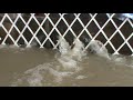 INUNDACION CARTAGENA BARRIO EL POZON SECTOR CENTRAL OCTUBRE 2011