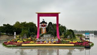 Goyang Autumn Flower Festival 2025