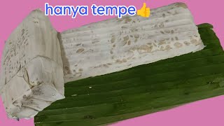 Padahal An Tempe Ko Bisa Seenak Dan Se Nikmat Ini