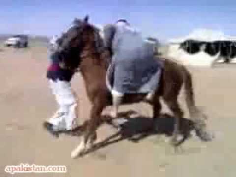 funny arab guy. Funny video --- Fat Arab Man