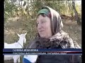 Video Мухтар Гусенгаджиев - к/ф Паршивые овцы