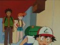 animales reales en pokemon animales reales en pokemon