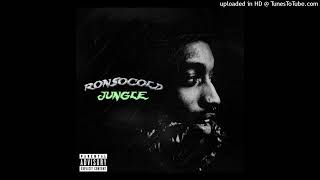 Ronsocold - Jungle Instrumental Remake