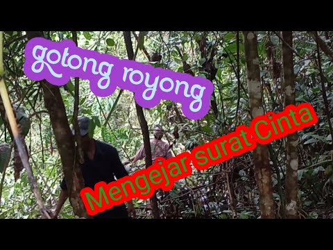 GOTONG ROYONG MENGEJAR SURAT  CINTA @ERSANLIBINTAWANICHANNEL