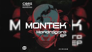 Montek - Noise Original Mix
