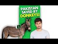 Why Pakistan Sells Donkeys to China?