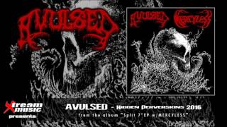 Watch Avulsed Hidden Perversions video