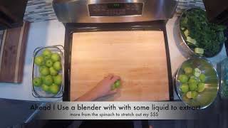 Feel the Green Juice Recipe #3