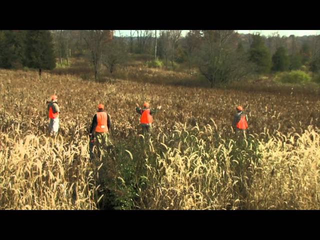 Watch Wingshooting Safety - Bird Hunting Tip on YouTube.