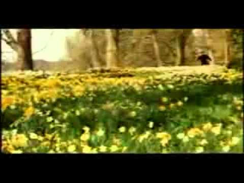 Tum Dil Ki Dhadkan Mein Rehte Ho.flv