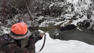 Kar Yağışı Altında Müthiş bir Domuz avı - / An Awesome Wild Boar Hunt Under the 