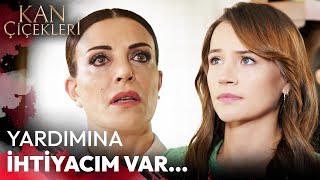 Sabihayı Şoke Eden İstek - Kan Çiçekleri 203. Bölüm