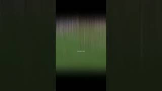 1IeVUwcwqGM Video Image