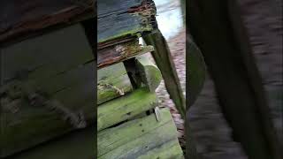 Mobile Beobachtungsstation Jagdsitz 12 Pre Wtf-Moment