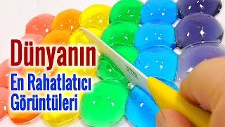 Dünyanın En İlginç Ve Keyif Verici Video Derlemesi Rahatlama Ve Terapi Etkili