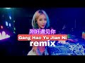 刚好遇见你 - Gang Hao Yu Jian Ni remix | Vinn Diesels