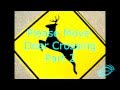 Please Move Deer Crossing Part 2!!!