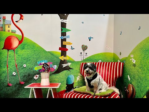 DAID Videos