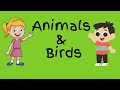 Animals & Birds   Part 1 | Animals and Birds in English