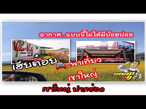 วันหยุดหาที่เที่ยวกัน #เขาใหญ่ #ปากช่อง Vino Neste Khao Yai & The Chocolate Factory