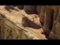 freeride films
